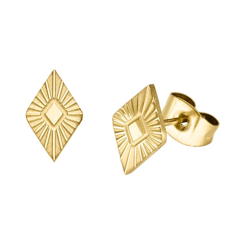 MONTPELLIER ØRESTIKKER