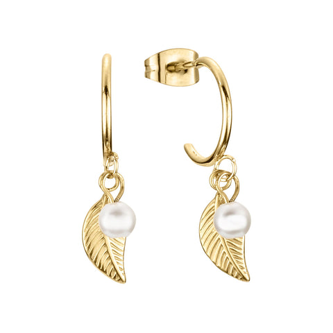 DORTMUND ØRESTIKKER