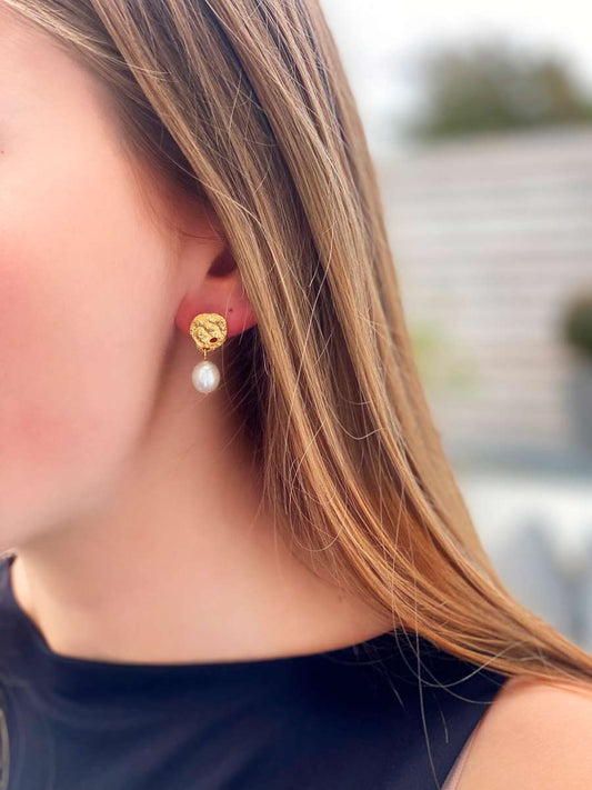 BRASILIA ØRESTIKKER