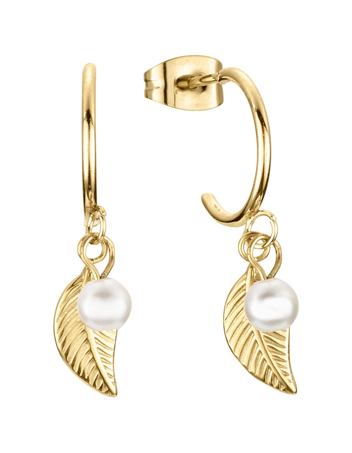 DORTMUND ØRESTIKKER